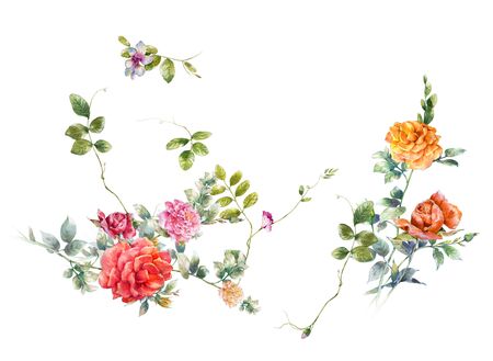 watercolor painting of leaves and flower, on white backgroundの写真素材
