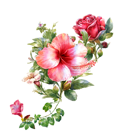watercolor painting of leaves and flower, on white backgroundの写真素材