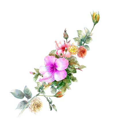 watercolor painting of leaves and flower, on white backgroundの写真素材