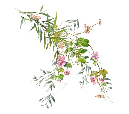 watercolor painting of leaves and flower, on white backgroundの写真素材