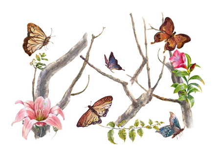 watercolor painting of leaves and flower,Butterfly on white backgroundの写真素材
