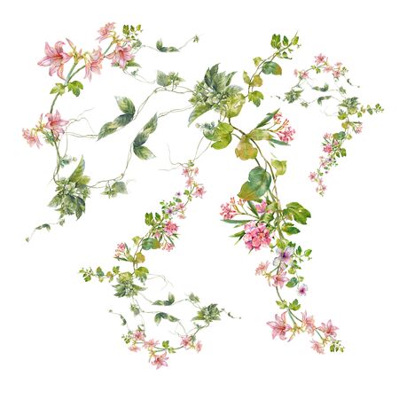 watercolor painting of leaves and flower, on white backgroundの写真素材