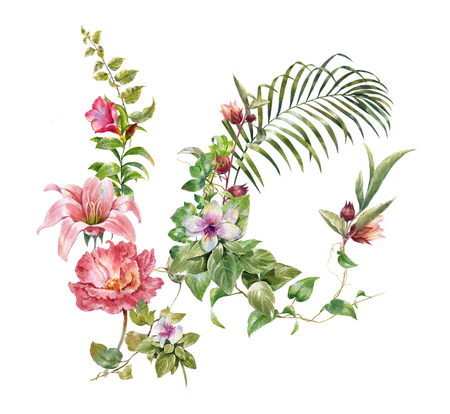 watercolor painting of leaves and flower, on white backgroundの写真素材