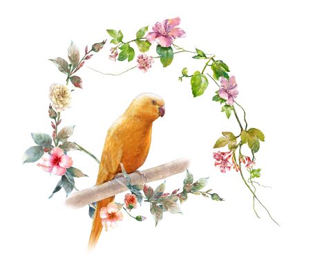watercolor painting with bird and flowers, on white backgroundの写真素材
