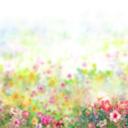Abstract colorful flowers watercolor painting. Spring multicolored in natureの写真素材