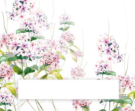 watercolor painting of leaves and flower, Has space for text on white backgroundの写真素材
