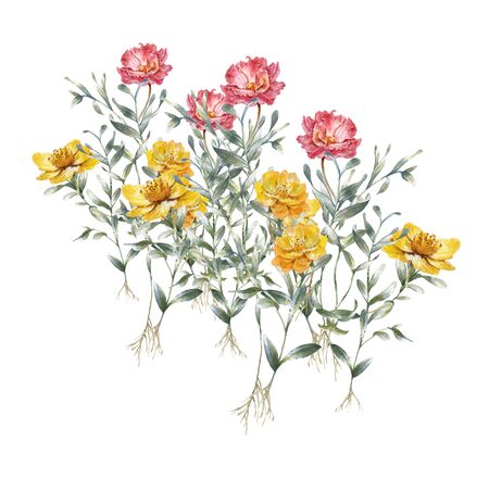 watercolor painting of leaves and flower, on white background の写真素材