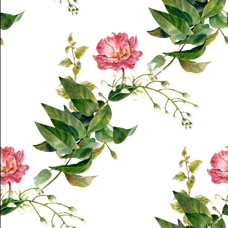 Watercolor painting of leaf and flowers, seamless pattern on white backgroundの写真素材
