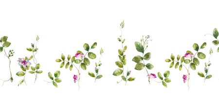 Watercolor painting of leaf and flowers, seamless pattern on white backgroundの写真素材