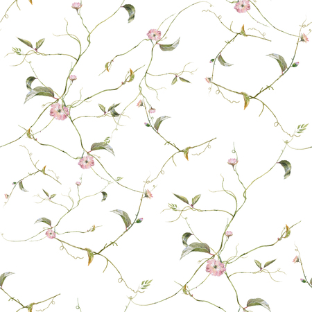 Watercolor painting of leaf and flowers, seamless pattern on white backgroundの写真素材