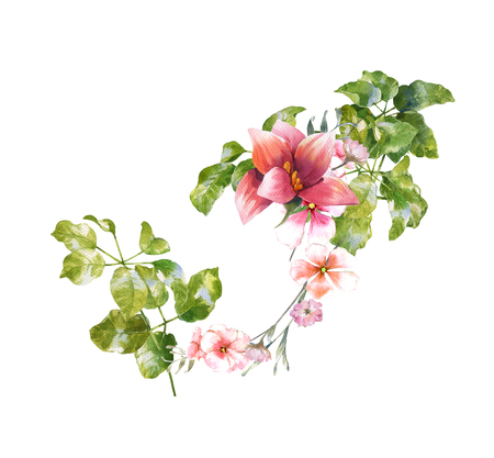 watercolor painting of leaves and flower, on white backgroundの写真素材