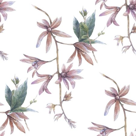 Watercolor painting of leaf and flowers, seamless pattern on white backgroundの写真素材