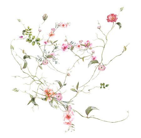 watercolor painting of leaves and flower, on white backgroundの写真素材