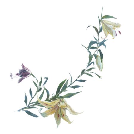 watercolor,oil  painting of leaves and flower, on white backgroundの写真素材