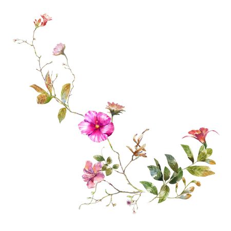 watercolor painting of leaves and flower, on white backgroundの写真素材