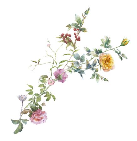 watercolor painting of leaves and flower, on white backgroundの写真素材