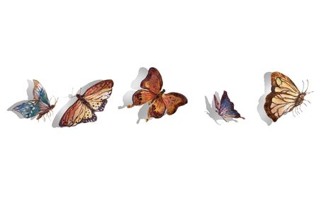 collection of multicolored butterflies. watercolor paintingの写真素材