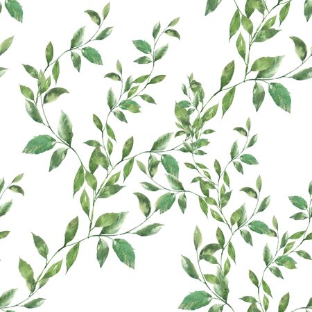 Watercolor illustration of leaf, seamless pattern on white backgroundの写真素材