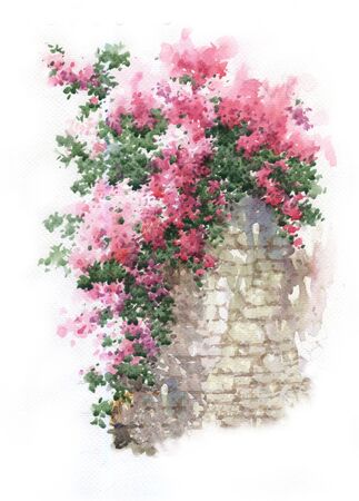 Abstract colorful flowers watercolor painting. Spring  with buildings and wallsの写真素材