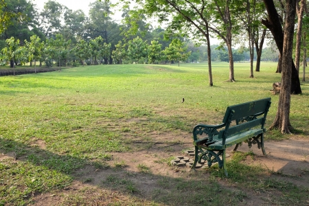 Green bench in the gardenの素材