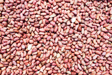 Red peanut closeup