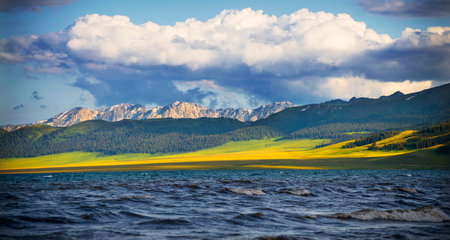 Mountain lake with yellow flowers in the Altai Republic, Russia