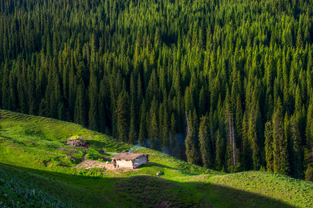 Abandoned house in the mountains. Ukraine, Carpathiansの写真素材
