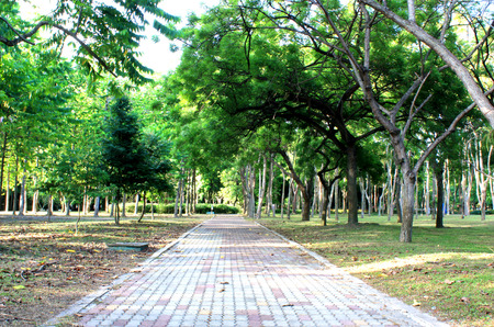 Scenic picture in the gardens parkの写真素材