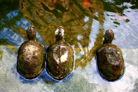 Stone turtle statueの写真素材