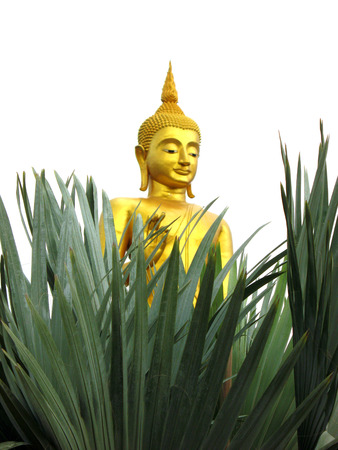 big buddha behide tree at Songkhla country Thailandの写真素材