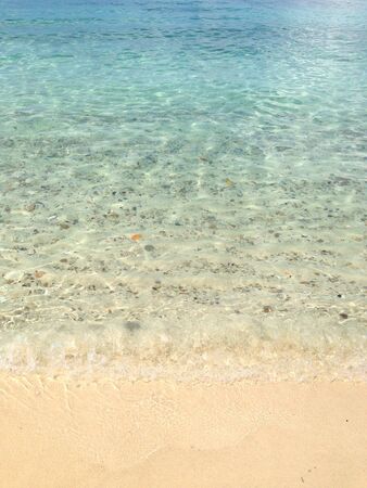 beach and tropical seaの写真素材