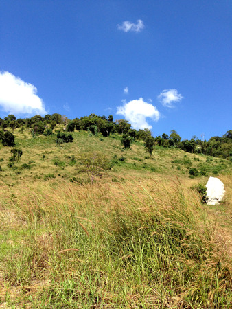 rolling hills on sun lightの写真素材