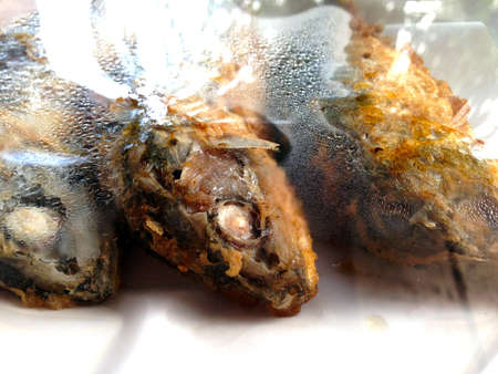 fish in plastic wrap at thai marketの写真素材