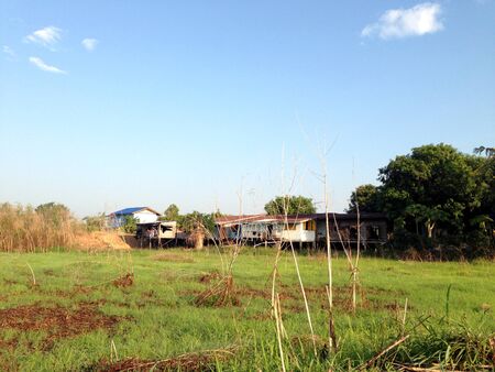 field with a house in the background, Thailandの写真素材