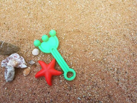 Beach scene in summer vacation holiday with sand, sea shells and sea starsの写真素材