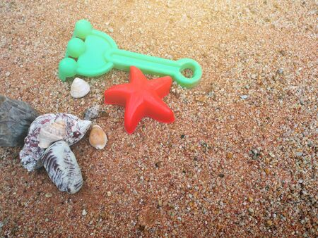 Beach scene in summer vacation holiday with sand, sea shells and sea starsの写真素材