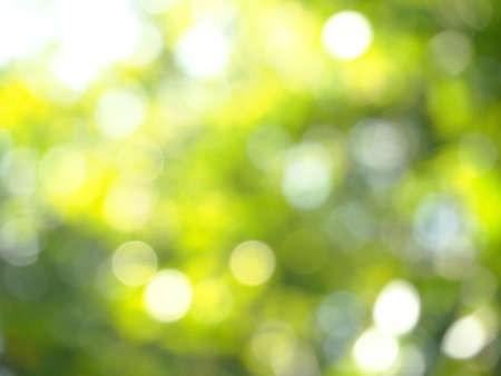 Green Bokeh backgroundの写真素材