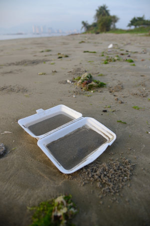 Thrown away takeaway carton sitting on the beach の写真素材
