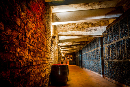 Wine cellar entrance, Recas Romania.のeditorial素材