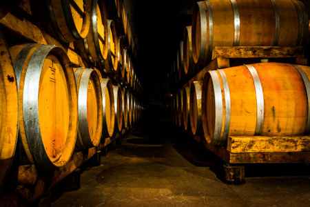 Yellow wine barrels in the cellar.の写真素材