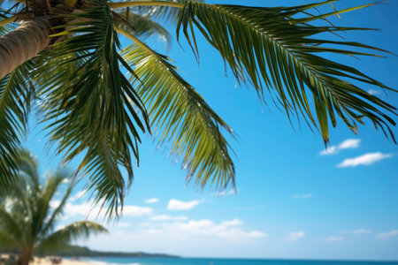 Photo of coconut trees on the beachの素材