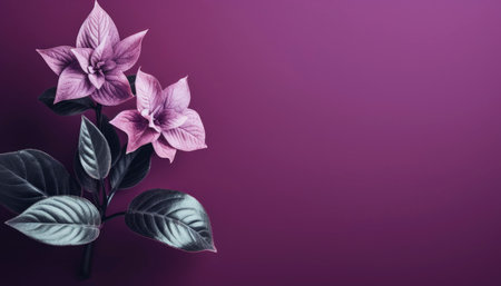 View of beautiful blooming flowersの素材