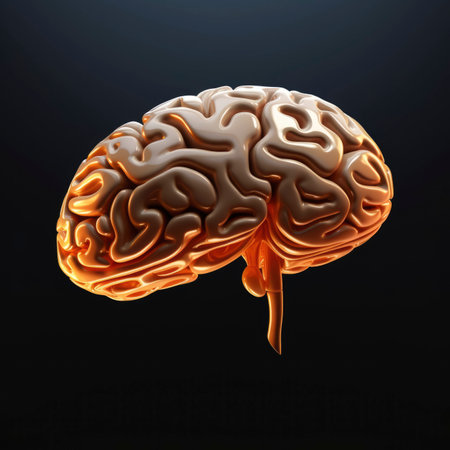 3d rendering of a brain with isolated backgroundの素材