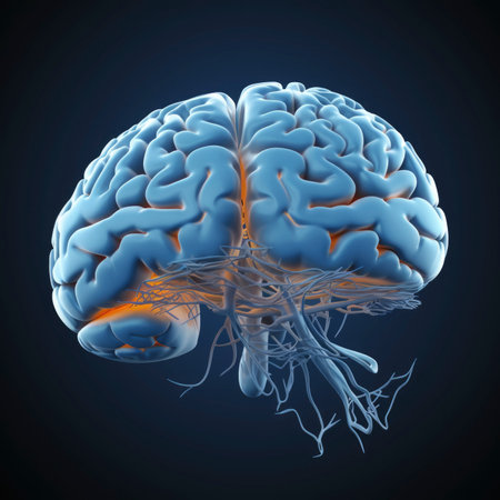 Human brain with neurons and nervous system, 3d illustration, horizontalの素材