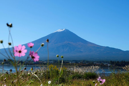 Fuji Mountainの写真素材