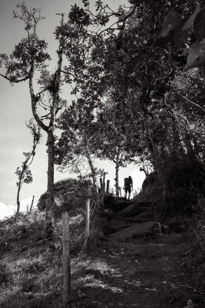 A person is hiking up a hill on a small path with a fence on the left side