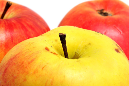 ripe apples close up shot on whiteの写真素材