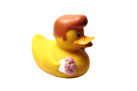 rubber duck bath on a white backgroundの写真素材