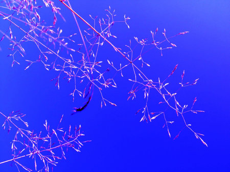 blue skyの写真素材