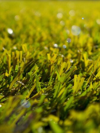 Picture of an artificial grassの写真素材